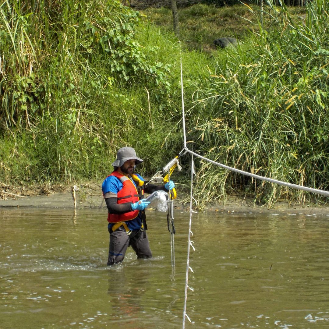 Monitoreo de aguas