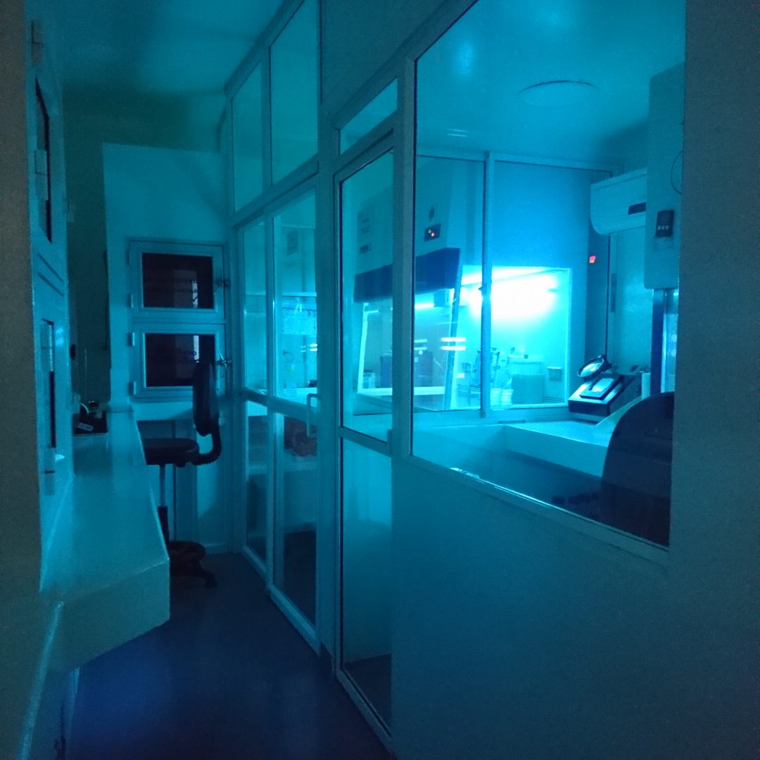 Laboratorio microbilogía análisis