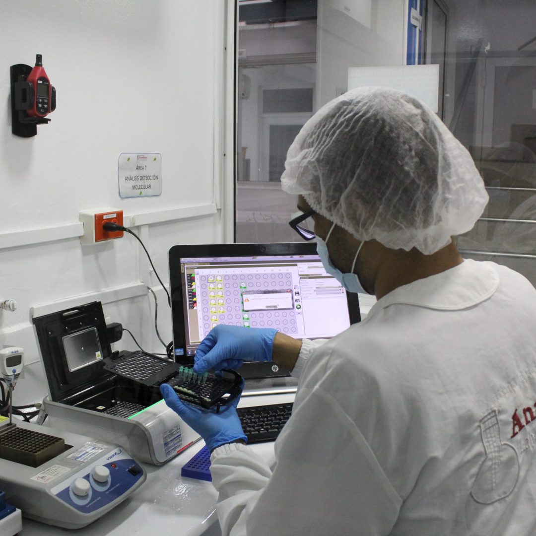 Microbiología Alimentos
